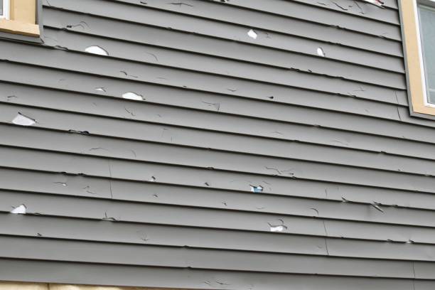 How To Choose The Right Materials for Your Siding Installation in 'Moore Haven, FL